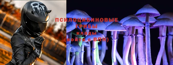 синтетический гашиш Алексин